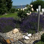 Casa de hóspedes Weingut Bastian