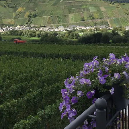 Weingut Bastian Affittacamere