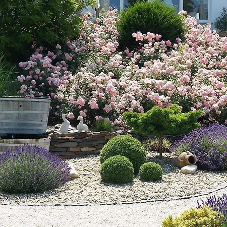 招待所 Weingut Bastian