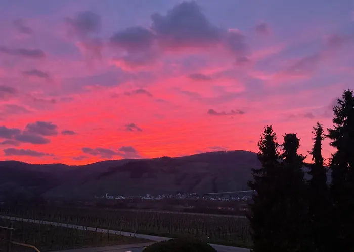 Weingut Bastian בית הארחה