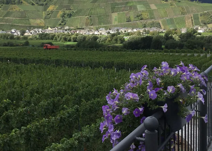 Weingut Bastian בית הארחה