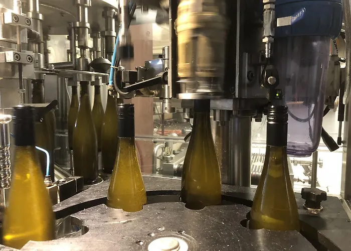 Weingut Bastian 3* בראונברג